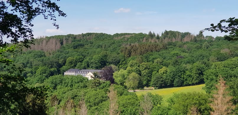 wald